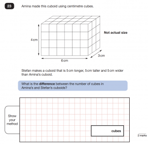 Reasoning Paper Year 6 SATs